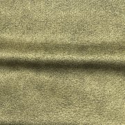 Salvador 10 Olive